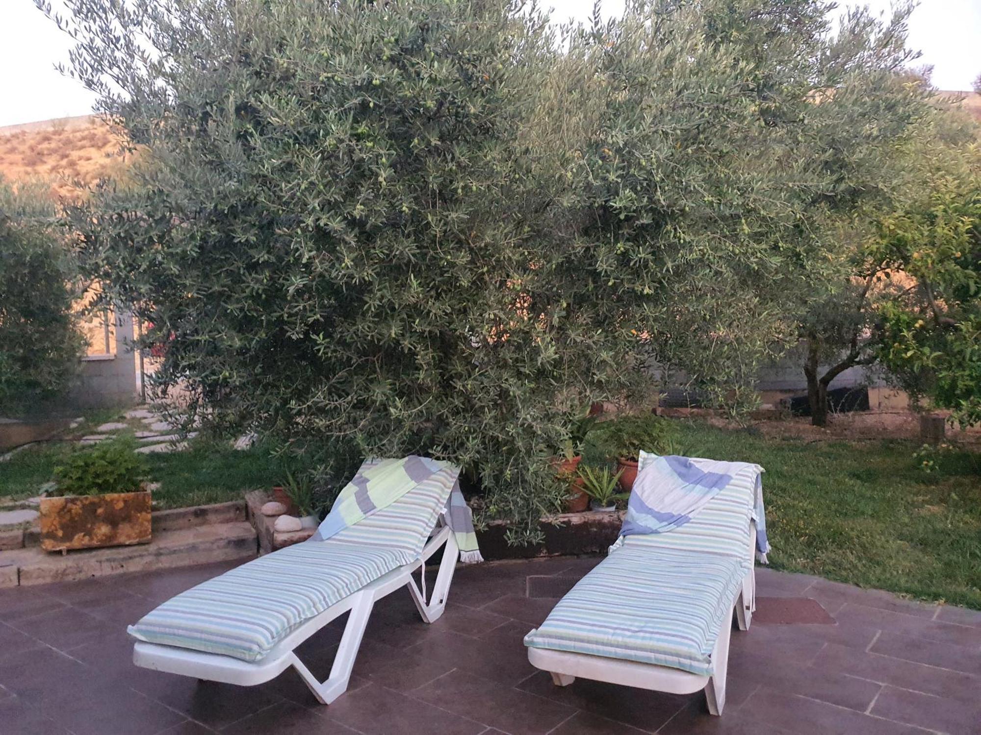 Cazorla Ortiz Chalet Pozo Alcón エクステリア 写真
